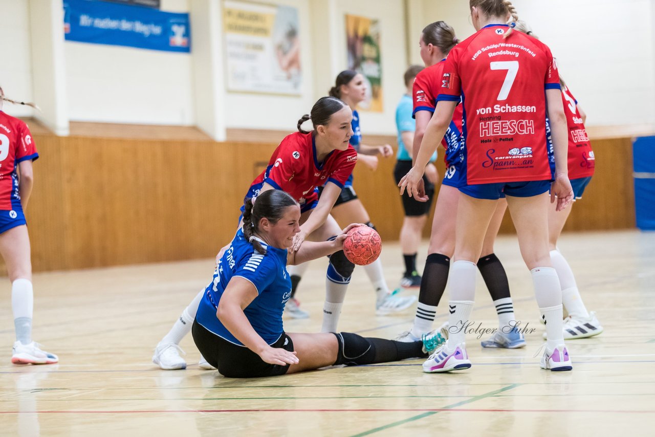 Bild 124 - wBJ TSV Ellerau - HSG Schue/We/Re : Ergebnis: 23:15